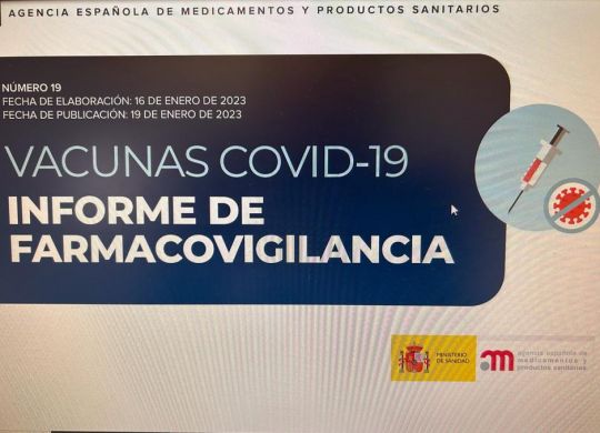 informe 19